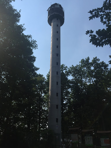 Wieża Obserwacyjna