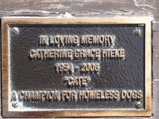 Homeless Dog Champion