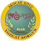 Download Akocak Köyü For PC Windows and Mac 1.0.1