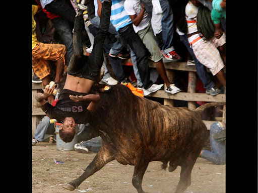 A man is hit by a bull during a traditional "Corraleja" or bullfight, in Arjona, Bolivar