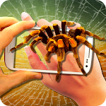 Spider on Hand. Camera Prank Apk