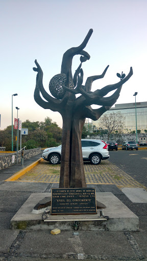 Árbol del conocimiento