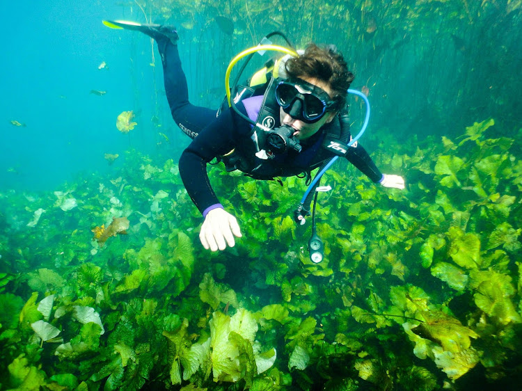 Diving in Marico Oog, a natural spring near Lichtenburg in North West.