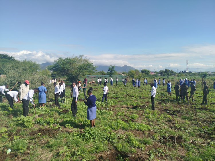 College students take part in tree planting exercise in Gambela on May 10, 2024.
