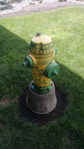 Alder Creek Fire Hydrant