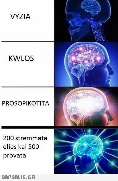 VYZIA KWLOS PROSOPIKOTITA 200 stremmata elies kai 500 provata 