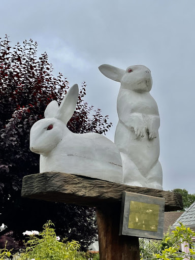 A Tribute to the Rabbits of the World