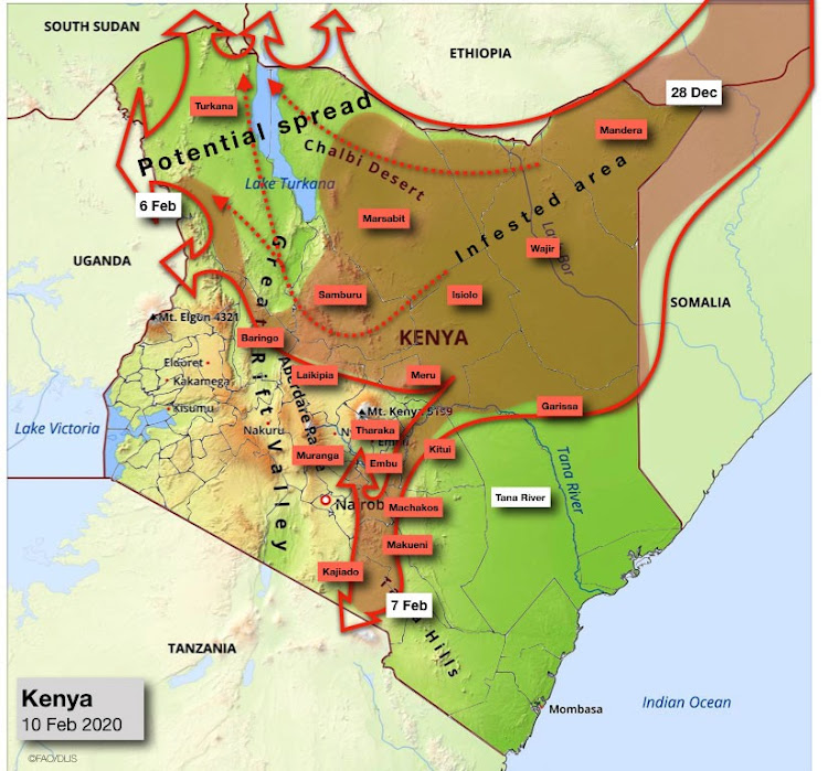 Locust-infested areas in Kenya