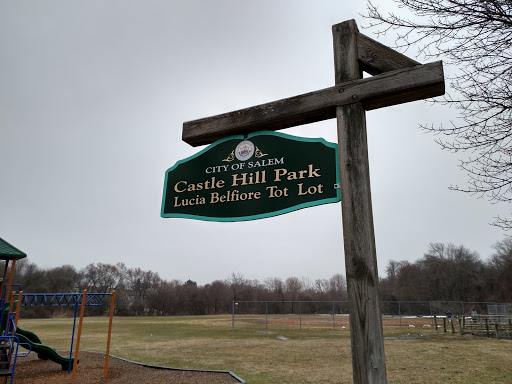 Castle Hill Park