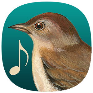 Download BirdSounds For PC Windows and Mac