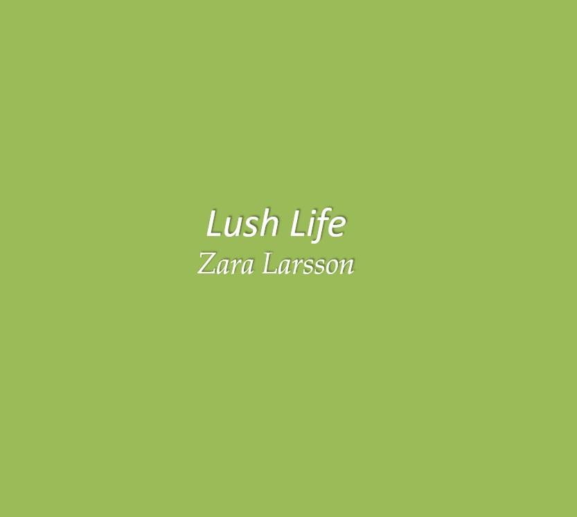 Android application Lush Life Lyrics screenshort