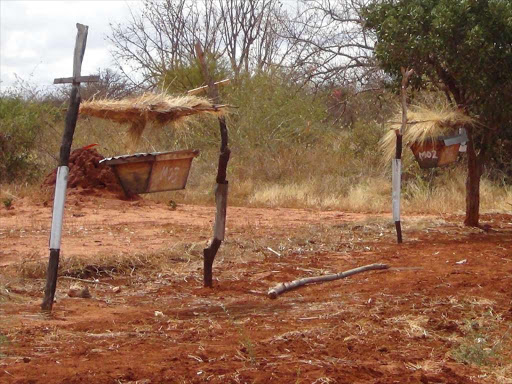 A beehive fence in Tsavo.