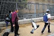 PIGEON ENGLISH: Hate-speech accused Elvira Oelofse leaves the Johannesburg Equality Court with her husband as a bird of the type she tried to protect flies by unconcerned