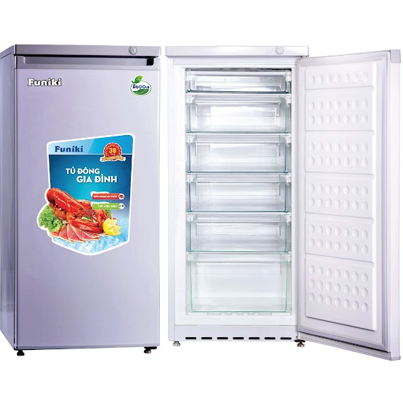 Tủ Đông Funiki Hòa Phát HCF166P (152L)