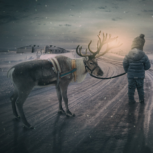Download Reindeer Wallpaper For PC Windows and Mac
