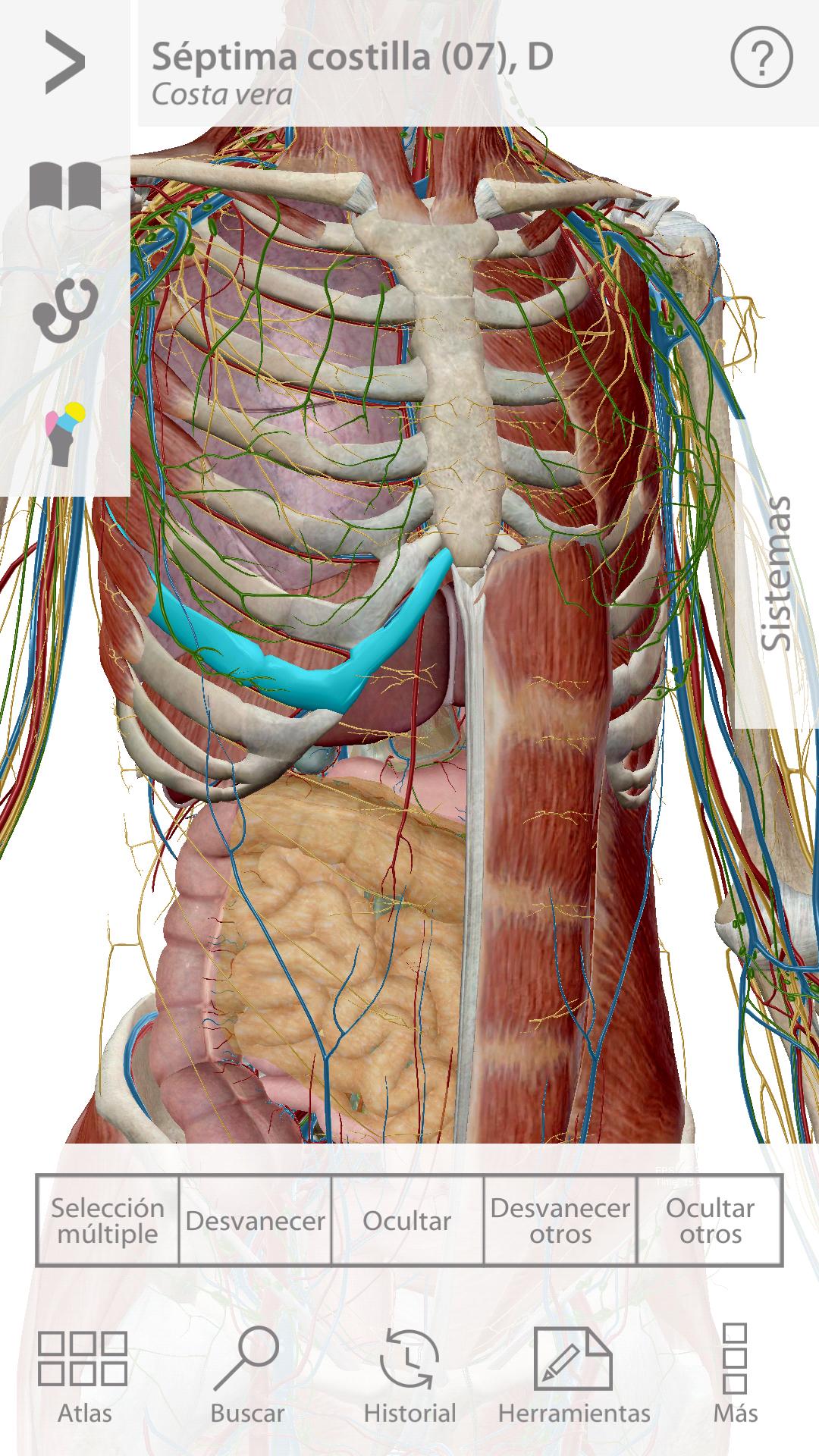 Android application Human Anatomy Atlas screenshort