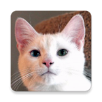 Cat Sounds Apk