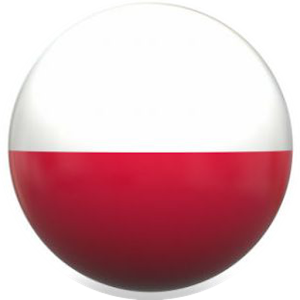 English Polish BiTranslator