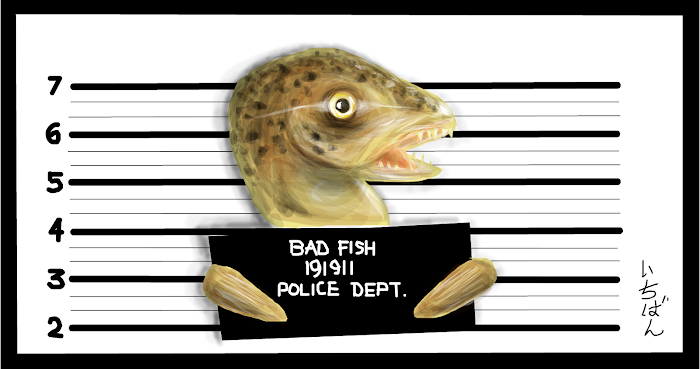 Bad fish