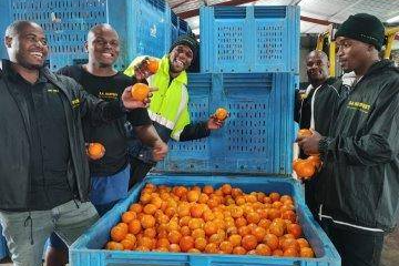 The SA Harvest Durban team receiving the bounty of fruit before distributing it to food vulnerable communities