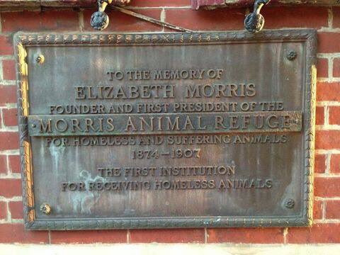 TO THE MEMORY OF  ELIZABETH MORRIS  FOUNDER AND FIRST PRESIDENT OF THE  MORRIS ANIMAL REFUGE  FOR HOMELESS AND SUFFERING ANIMALS  1874-1907  THE FIRST INSTITUTION  FOR RECEIVING HOMELESS ANIMALS ...