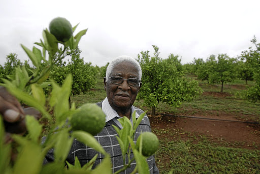 Dr Sam Motsuenyane, the 'father of black business', admires a citrus orchard.
