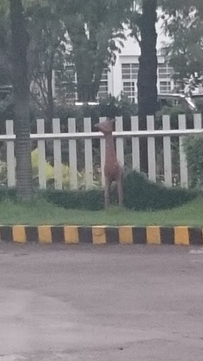 Deer Statue