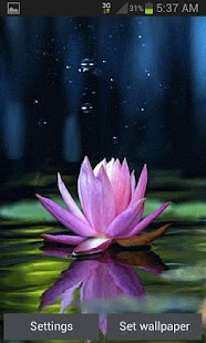 How to download Magical Lotus Live Wallpaper 2 apk for bluestacks