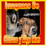 imagenes de chisme y algo mas Apk