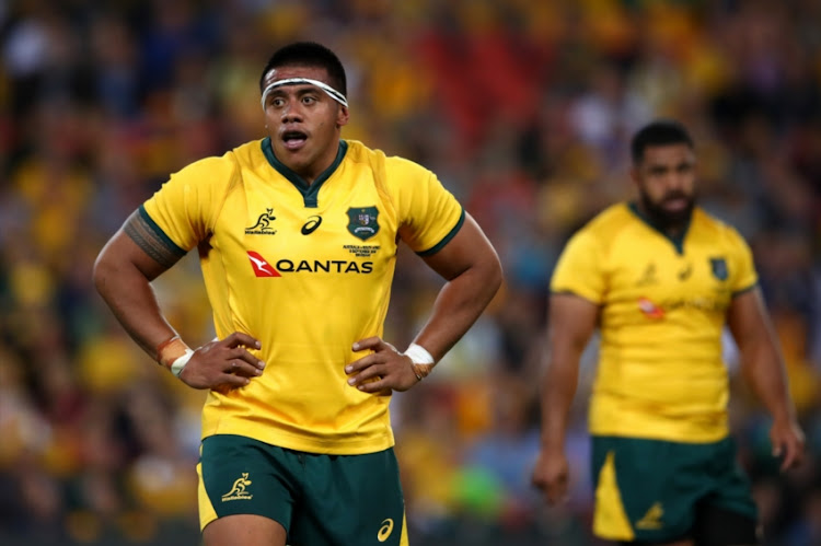 Allan Alaalatoa of the Wallabies looks on during The Rugby Championship match between the Australian Wallabies and the South Africa Springboks at Suncorp Stadium on September 8, 2018 in Brisbane, Australia.