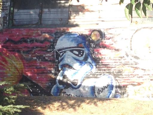 Mural darth Con Llamas