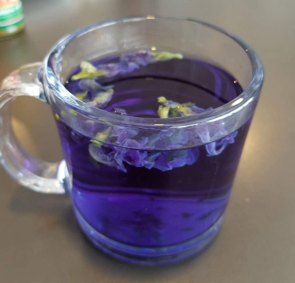 color changing butterfly pea flower tea