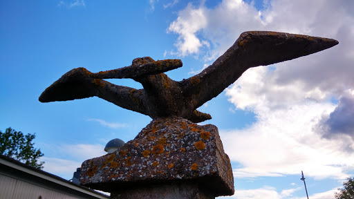 Seagull With Fish