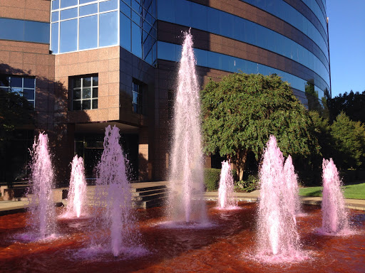 Barclay Downs Fountain