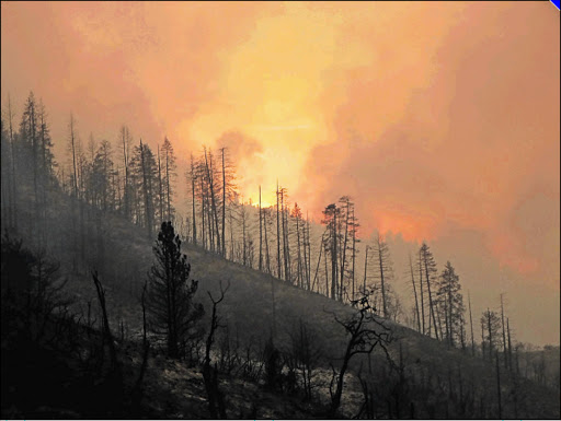 STRANGE BEHAVIOUR: A US Forest Service picture shows fire raging burning in central California. Picture: EPA