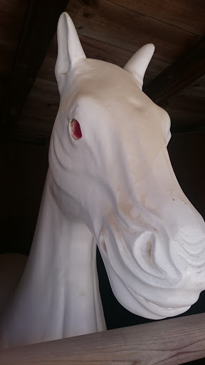 Sacred White Horse