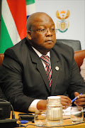 Nkosinathi Nhleko. File photo