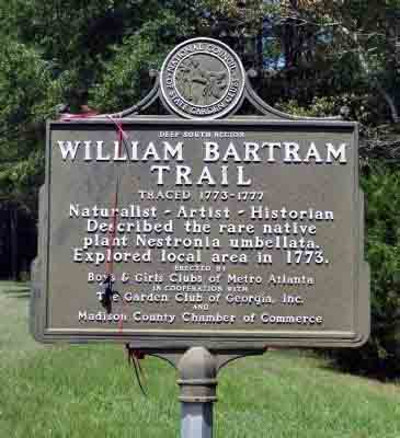 — Deep South Region — William Bartram Trail Traced 1773 - 1777 Naturalist ~ Artist ~ Historian Described the rare native plant Nestronia umbellate. Explored local area in 1773. Erected by Boys and...