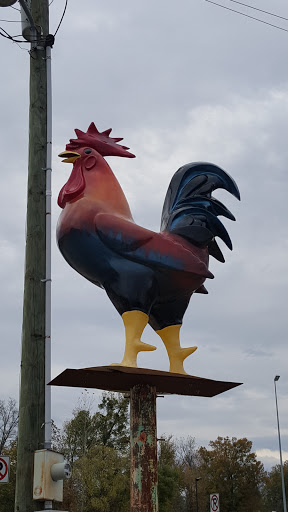 Giant Chicken 