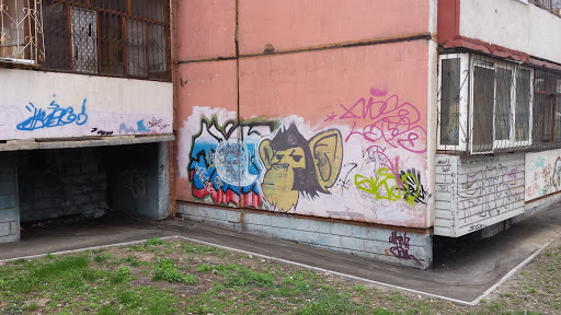 Граффити Макака