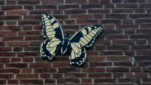Vlinders Aan De Muur
