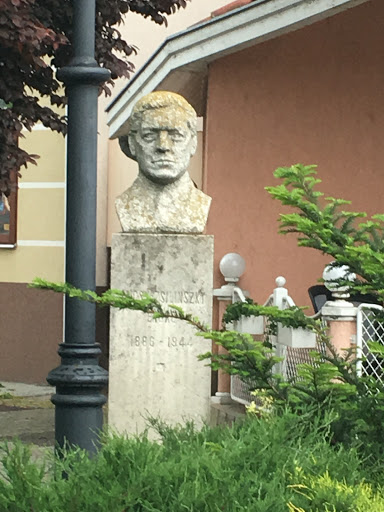 Statue of Endre Bajcsy-Zsilinszky