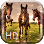 Horses Live Wallpaper HD Apk