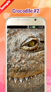 How to install Crocodile Wallpaper 1.4 mod apk for android