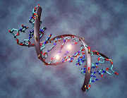 DNA - file picture