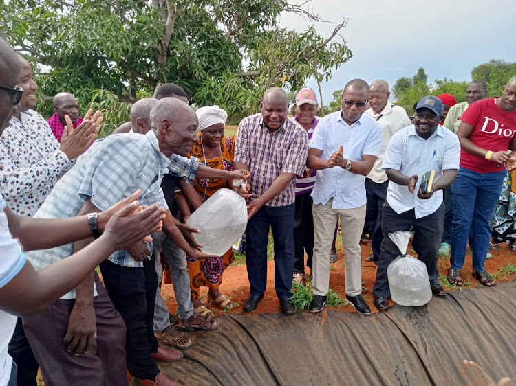 Deputy Governor Chirema Kombo hands over the fish fingerlings to farmers at Mackinnon Road ward in Kinango subcounty, Kwale county, on Wednesday, April 17, 2024.