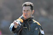 Rassie Erasmus could join Mallett.