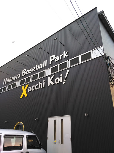 Niikawa Baseball Park Xacchi Koi