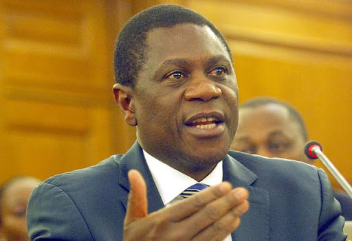 ANC treasurer-general Paul Mashatile says that when the ANC unveils its manifesto on Friday, January 11 2019, it will focus on solutions to unemployment.