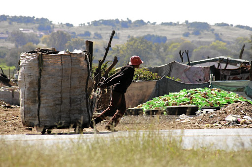 Recycling has provided many jobless people a chance to earn an income. / Gallo Images/Fani Mahuntsi